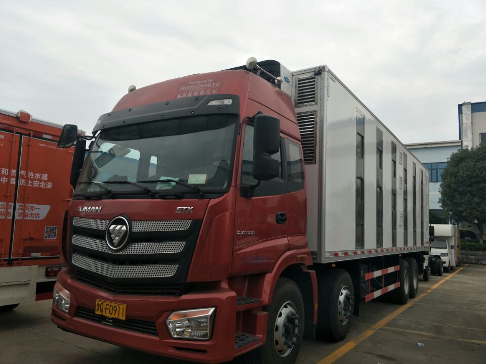 福田前四后八8.66米恒温猪仔运输车