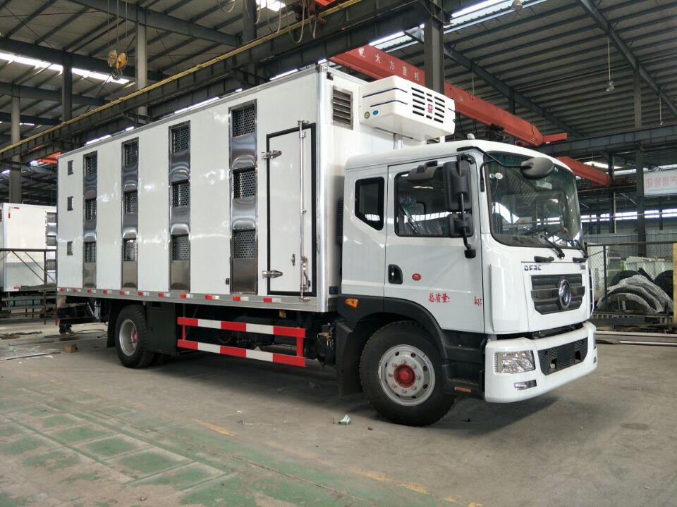 东风D9(豪华型)6米恒温运猪车